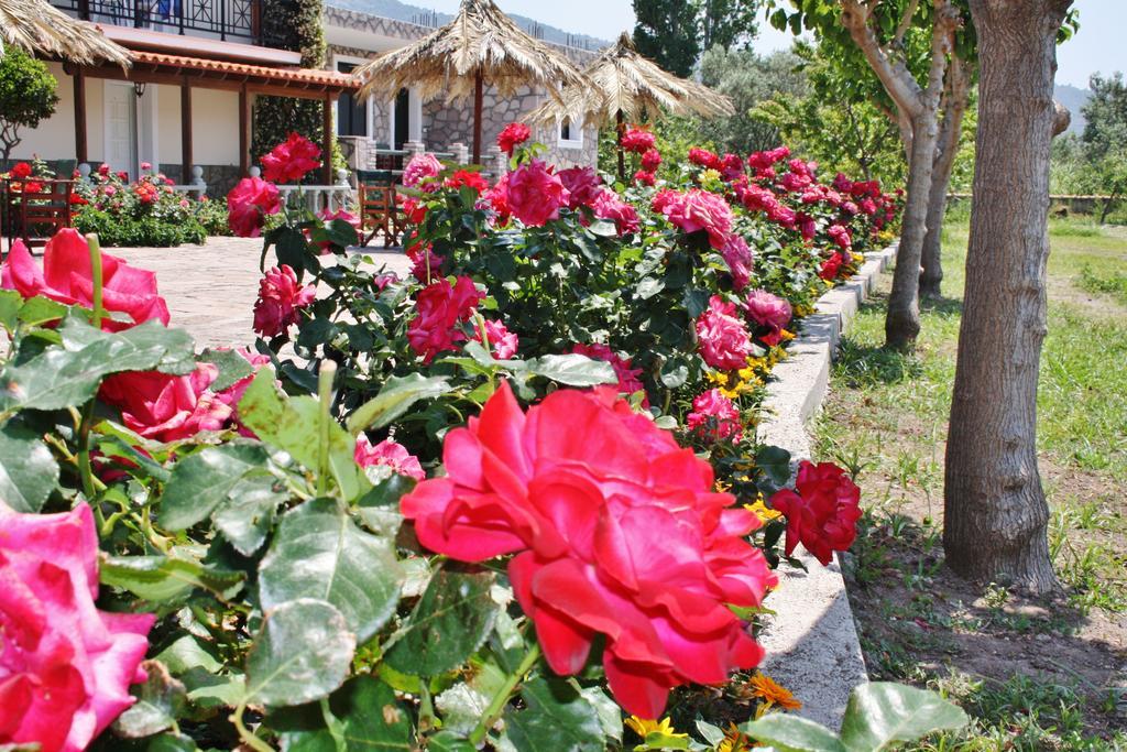 Villa Vicky Petra  Exteriér fotografie